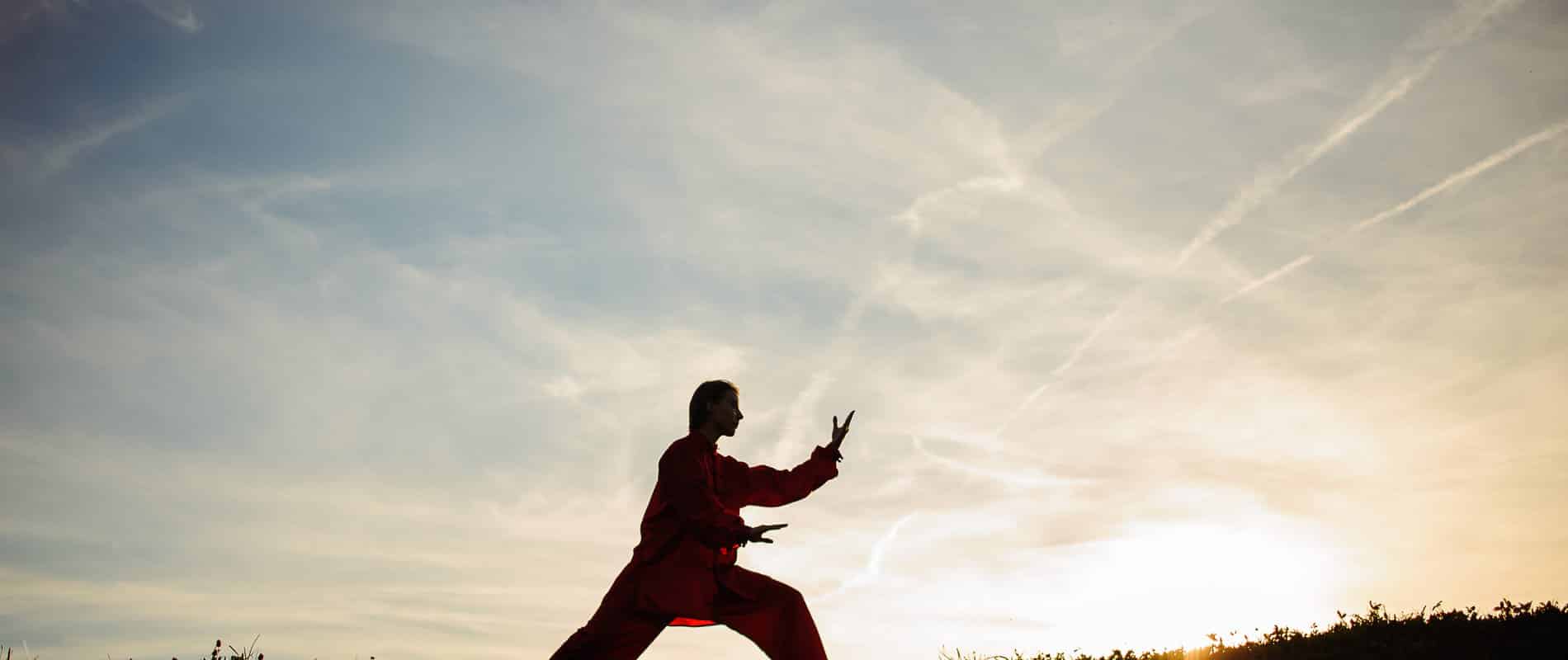 Silhouette of a man in red standing in a martial arts stance